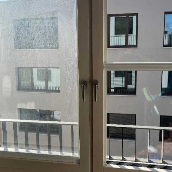 Fensterreinigung